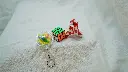 DSC00446.webp
