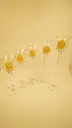 DSC09575.webp