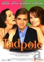 Tadpole (DVD, Region 2, PAL)