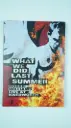 Robbie Williams: What We Did Last Summer – Live at Knebworth (2 DVD, PAL, Region 2)