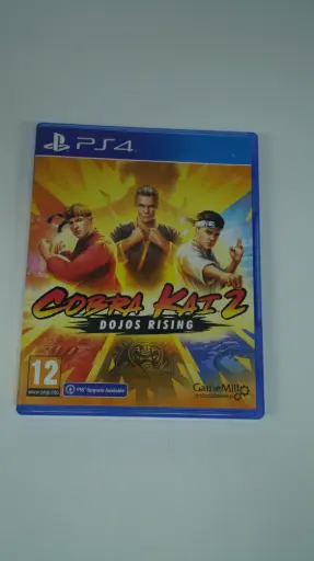 [CoVerPlay00000001636] Cobra Kai 2: Dojos Rising (PlayStation 4, PAL)