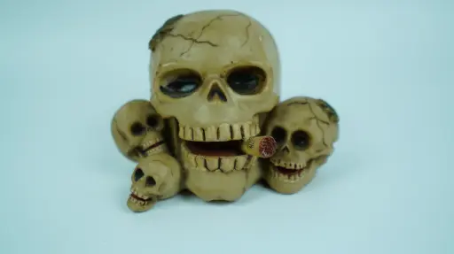 [SkNoProp00000002773] Skull Money Box with Cigar and Mini Skulls